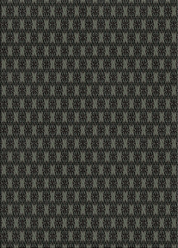Patterned Black Novelty Rug, pat2314