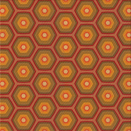 Sideview of Machine Washable Transitional Orange Rug, wshpat2328