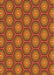 Patterned Orange Novelty Rug, pat2328