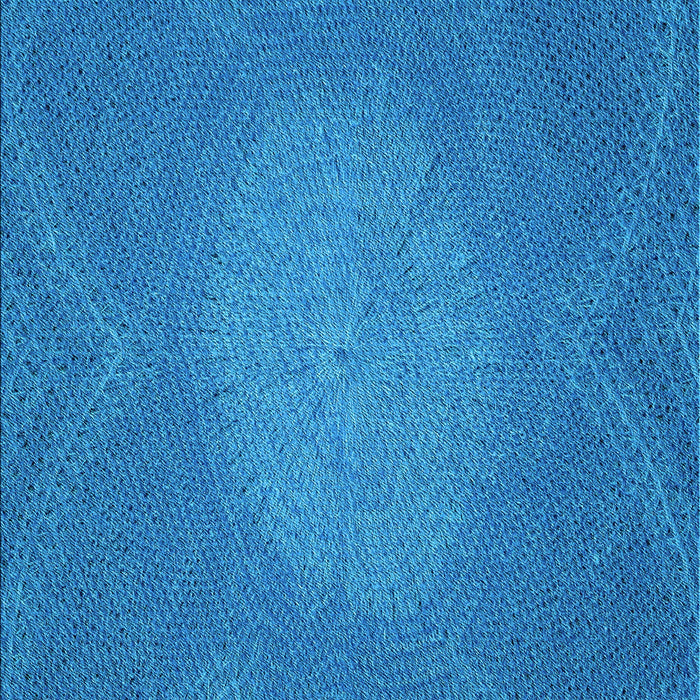 Machine Washable Transitional Blue Rug, wshpat2329lblu