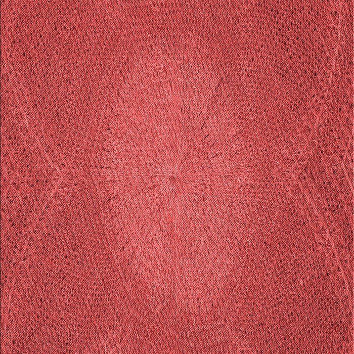 Machine Washable Transitional Red Rug, wshpat2329rd