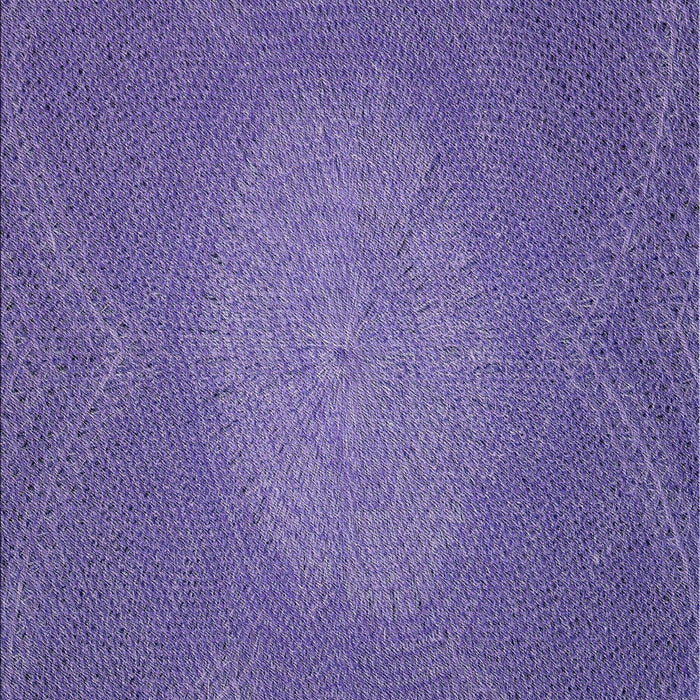 Machine Washable Transitional Purple Rug, wshpat2329