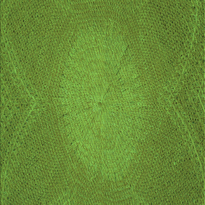 Patterned Seaweed Green Rug, pat2330grn