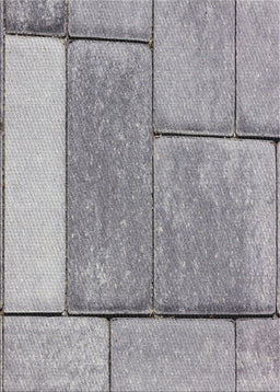 Patterned Gray Novelty Rug, pat2335