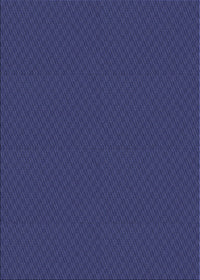 Machine Washable Transitional Royal Blue Rug, wshpat2339blu