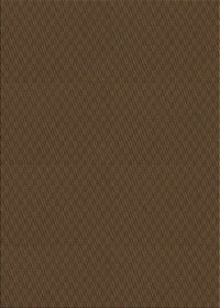 Machine Washable Transitional Saddle Brown Rug, wshpat2339brn