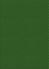 Machine Washable Transitional Green Rug, wshpat2339grn