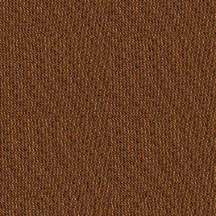 Machine Washable Transitional Mahogany Brown Rug, wshpat2339org