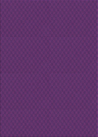 Machine Washable Transitional Dark Orchid Purple Rug, wshpat2339pur