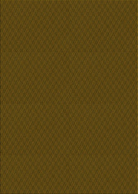 Machine Washable Transitional Dark Bronze Brown Rug, wshpat2339yw