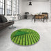 Round Patterned Green Rug in a Office, pat234grn