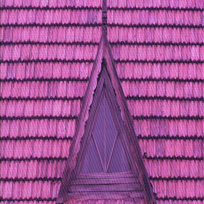 Machine Washable Transitional Medium Violet Red Pink Rug, wshpat234pur