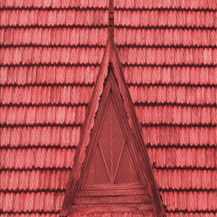 Patterned Red Rug, pat234rd