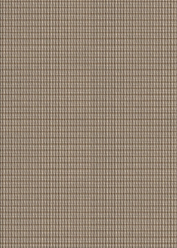 Machine Washable Transitional Sepia Brown Rug, wshpat2340