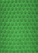 Patterned Green Rug, pat2341grn