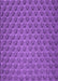 Machine Washable Transitional Purple Rug, wshpat2341pur