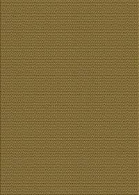 Machine Washable Transitional Dark Bronze Brown Rug, wshpat2345brn