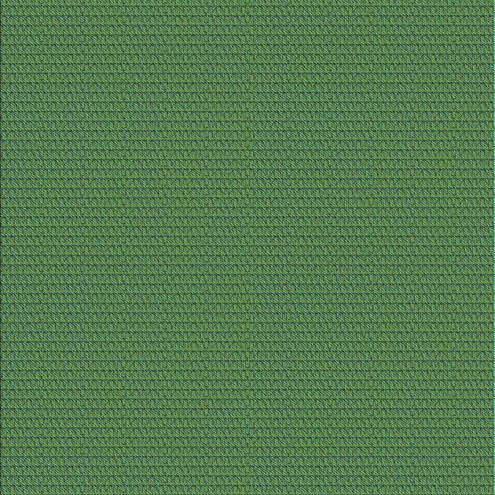 Machine Washable Transitional Lime Green Rug, wshpat2345lblu