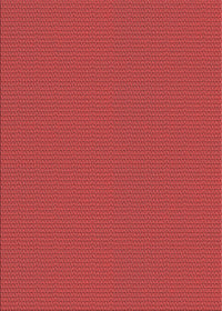 Machine Washable Transitional Red Rug, wshpat2345rd