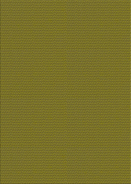 Machine Washable Transitional Sepia Brown Rug, wshpat2345