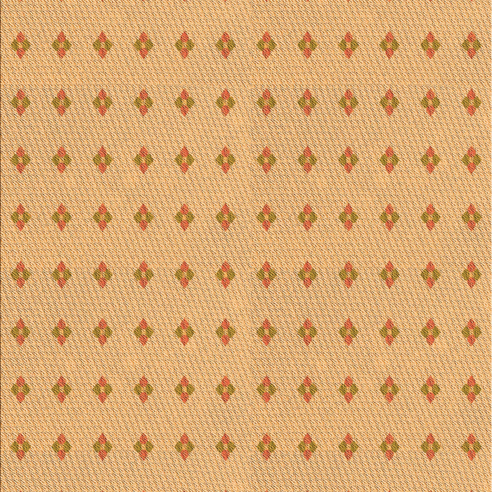 Machine Washable Transitional Orange Rug, wshpat2346org
