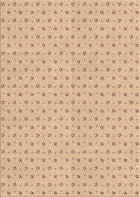 Machine Washable Transitional Peru Brown Rug, wshpat2349brn