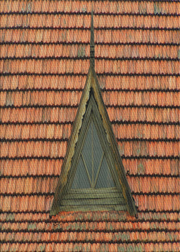 Machine Washable Transitional Peru Brown Rug, wshpat234