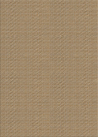 Machine Washable Transitional Oak Brown Rug, wshpat2350