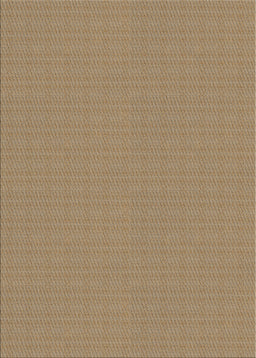 Machine Washable Transitional Oak Brown Rug, wshpat2350