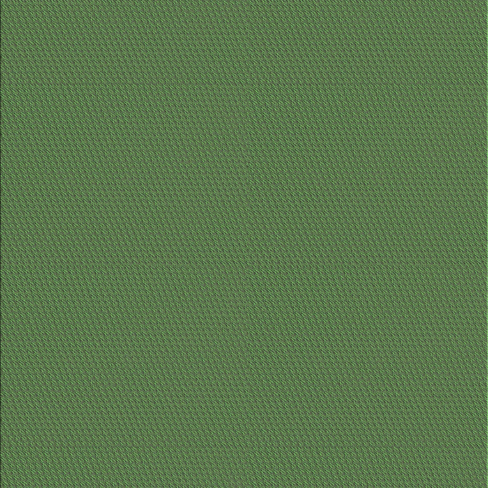 Patterned Green Rug, pat2352grn