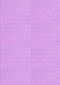Machine Washable Transitional Purple Rug, wshpat2356pur