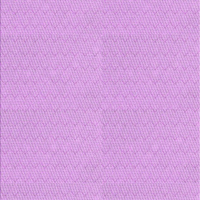 Machine Washable Transitional Purple Rug, wshpat2356pur