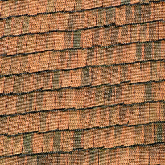 Machine Washable Transitional Saddle Brown Rug, wshpat235