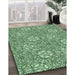 Patterned Pale Green Rug in Family Room, pat2364grn