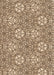 Machine Washable Transitional Khaki Gold Rug, wshpat2364org