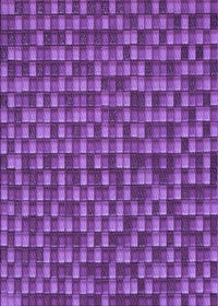 Machine Washable Transitional Purple Rug, wshpat2366pur