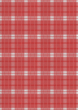 Machine Washable Transitional Red Rug, wshpat2367