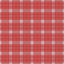 Sideview of Machine Washable Transitional Red Rug, wshpat2367