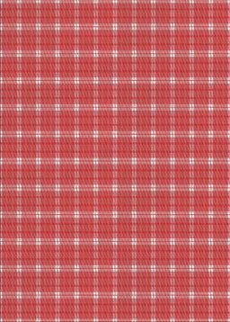 Machine Washable Transitional Red Rug, wshpat2368