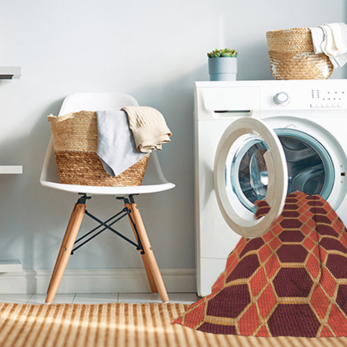 Machine Washable Transitional Red Rug in a Washing Machine, wshpat2369org