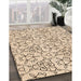 Patterned Copper Brown Rug in Family Room, pat2370org
