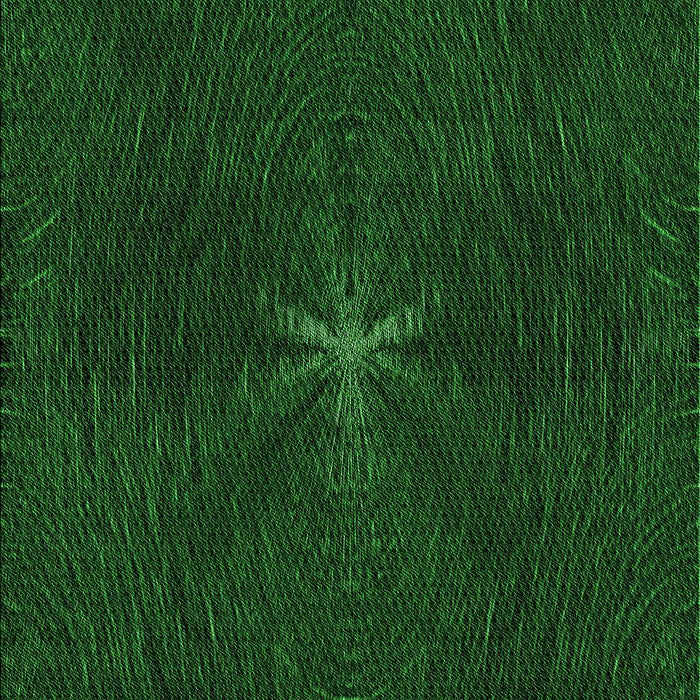 Machine Washable Transitional Green Rug, wshpat2372grn