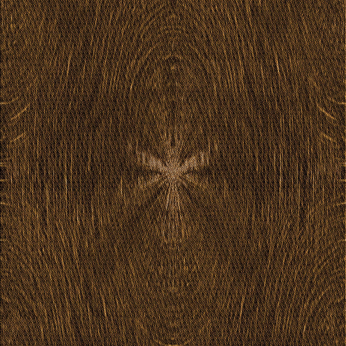 Patterned Saddle Brown Rug, pat2372org