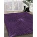 Machine Washable Transitional Deep Purple Rug in a Family Room, wshpat2372pur