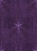 Patterned Deep Purple Rug, pat2372pur