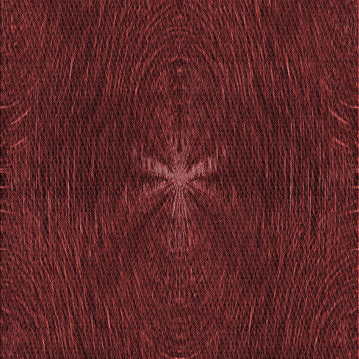 Machine Washable Transitional Red Rug, wshpat2372rd