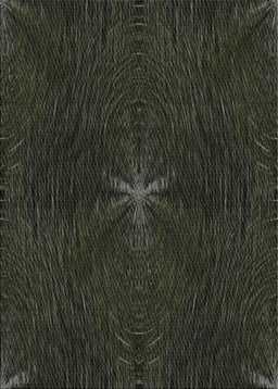 Patterned Black Novelty Rug, pat2372
