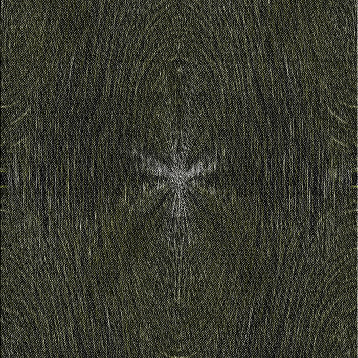 Patterned Black Novelty Rug, pat2372