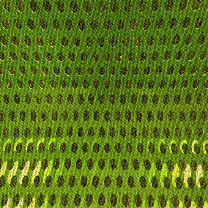 Machine Washable Transitional Green Rug, wshpat2376yw