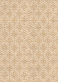 Machine Washable Transitional Khaki Gold Rug, wshpat2377brn